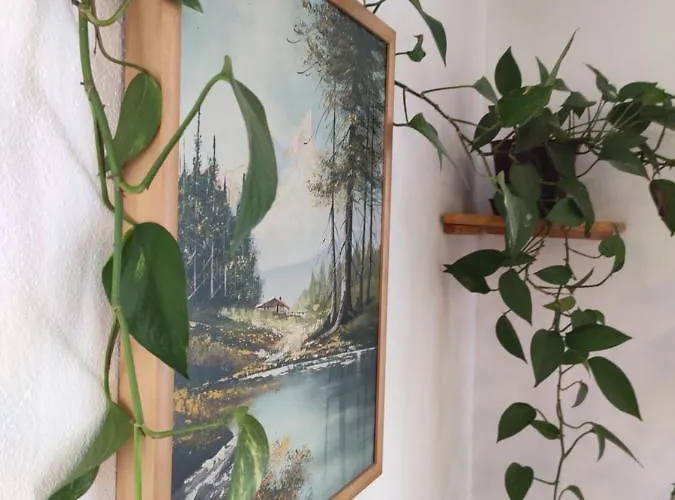 Kuca Za Odmor Tri Sunca Pula