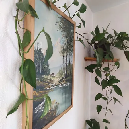 Kuca Za Odmor Tri Sunca Pula