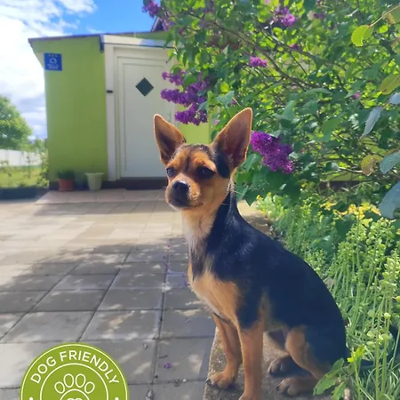 Ferienhaus Kuca Za Odmor Tri Sunca Pula