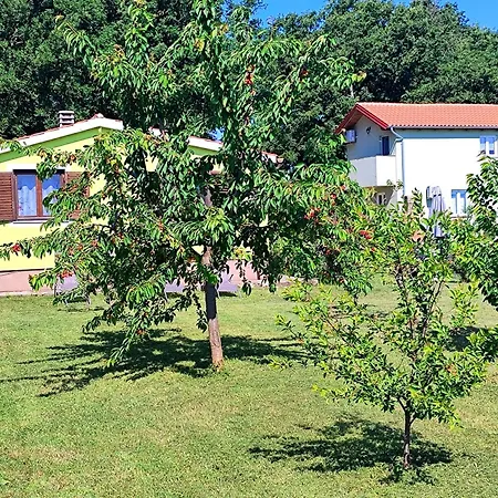 Σπίτι διακοπών Kuca Za Odmor Tri Sunca Πούλα