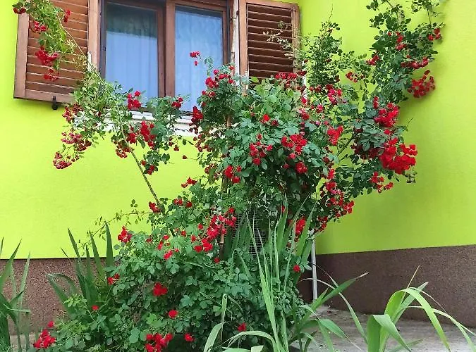 Kuca Za Odmor Tri Sunca Пула